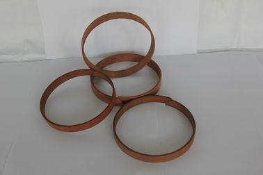 218-4406 2184406 Ring Wear Construction Machinery Parts Wear Ring Seal Ring 218-4406