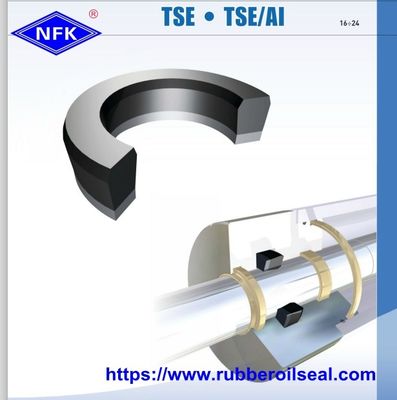 SEG TSE Hydraulic Cylinder Seal For Injection Molding Machine